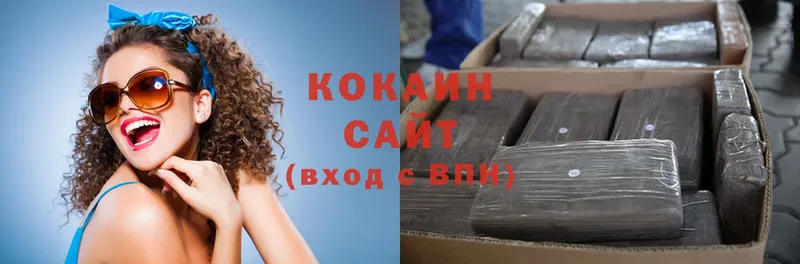 где найти наркотики  Костомукша  Кокаин FishScale 